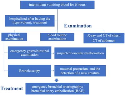 Case Report: A Case of Infant Bronchial Dieulafoy's Disease and Article Review